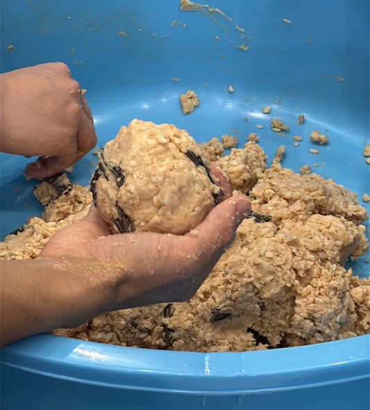 生麹から仕込む「京味噌と白味噌づくり」 ― 加藤みそ ―