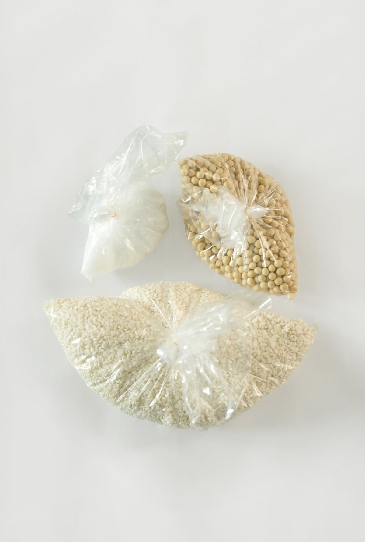 [Workshop Participants Only] Sansho Dengaku Miso