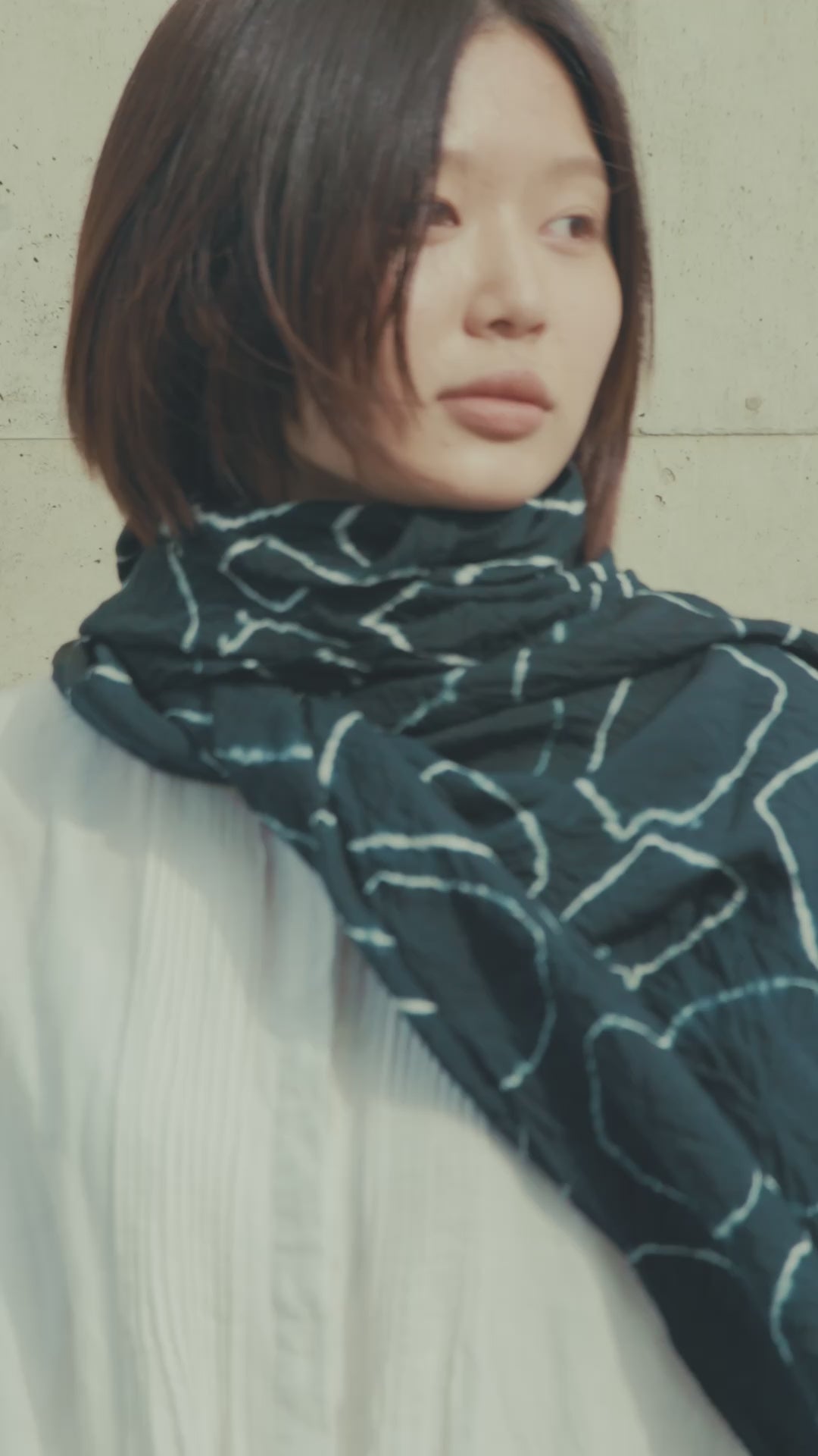 動画を読み込む: 