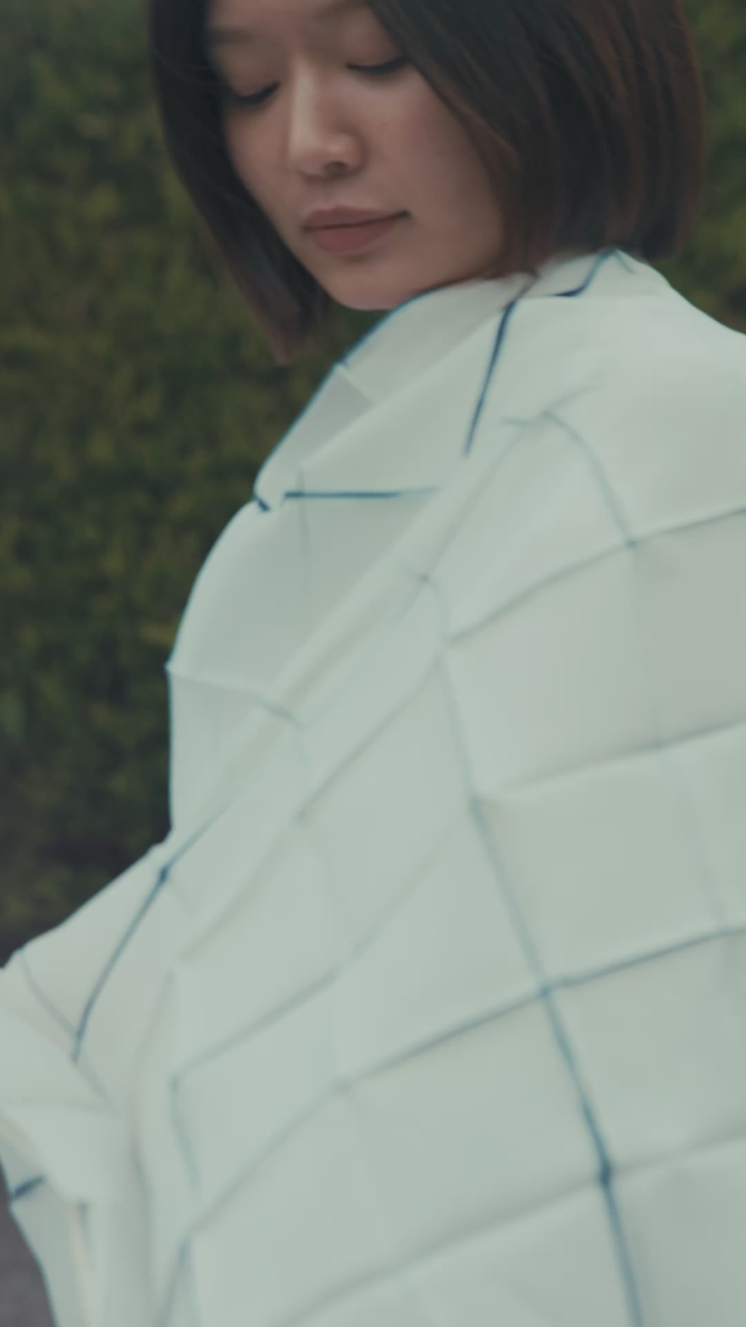 動画を読み込む: 